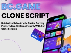 Fast-Track Your Crypto Gaming Venture with BC.Game Clone Scr