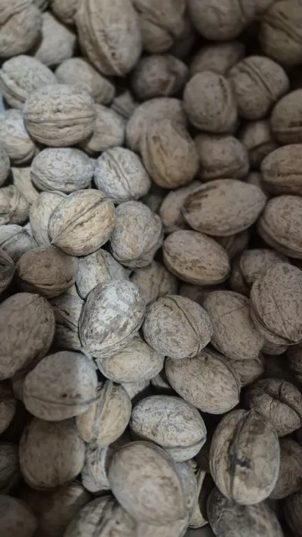 Грецие орехи новый урожай