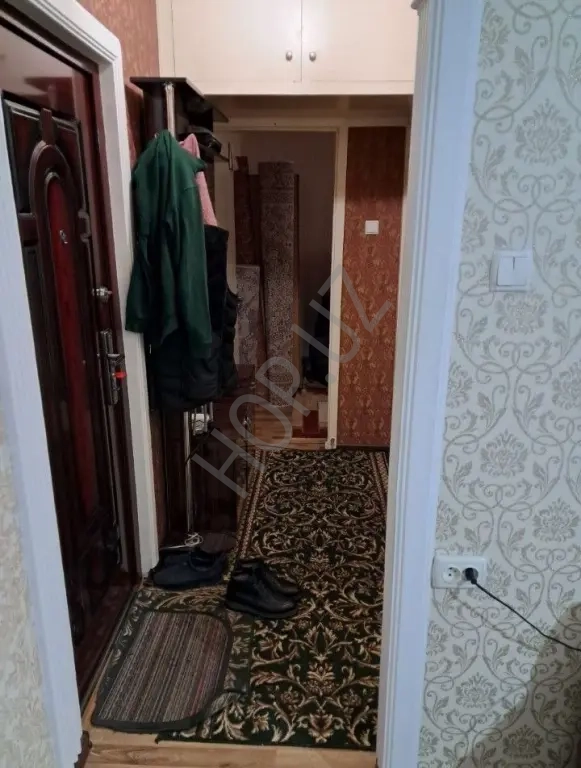 Феруза 2/3/4 46м² Панель разделка