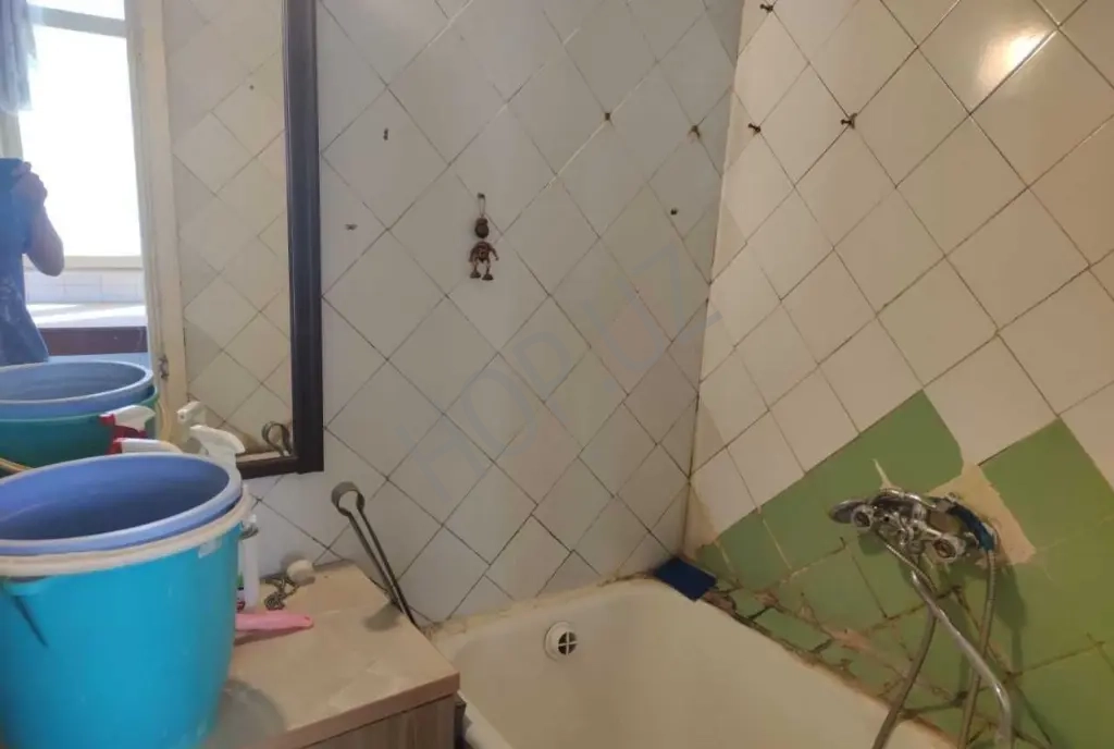 Бий Художники. 2/5/5 48 м2 Французская школа.