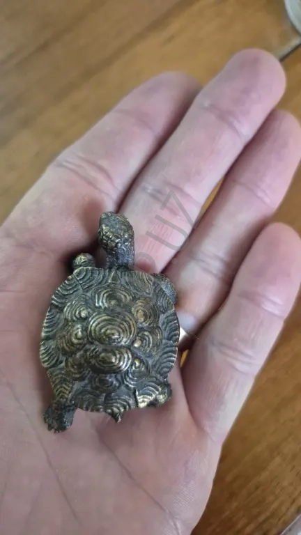 Черепашка латуневая