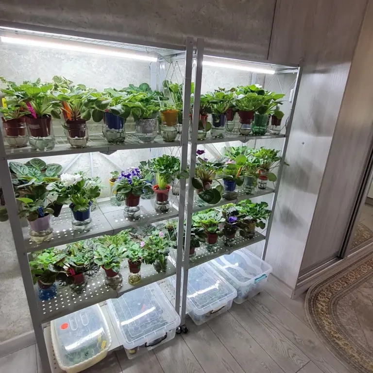 Стеллажи металлические на колесиках