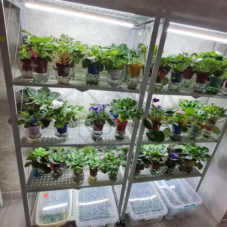 Стеллажи металлические на колесиках