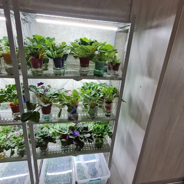 Стеллажи металлические на колесиках