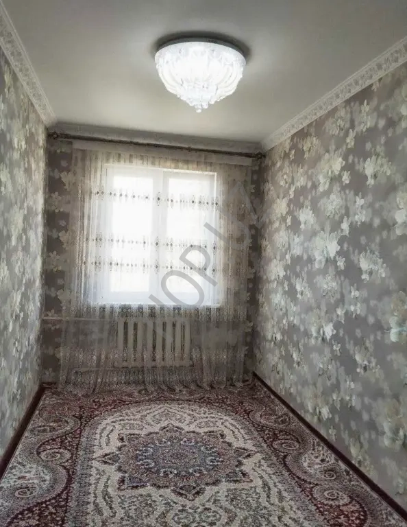 Бий Художники 2в3/5/5 53м² Панель.