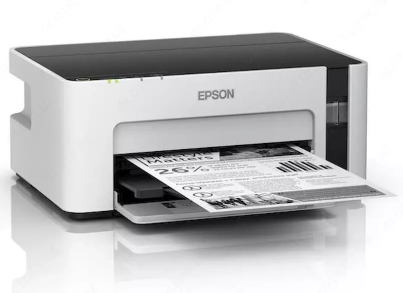 Принтер EPSON M1100