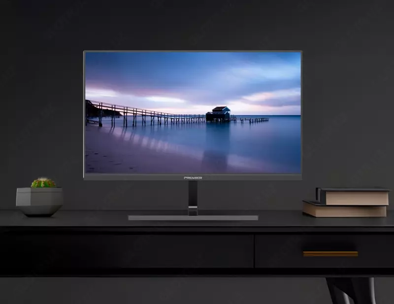 Монитор Premier 24″ 24PRM100 IPS FHD 100Hz