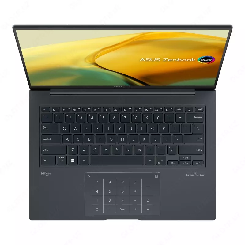 Ноутбук ASUS ZENBOOK Q420VA-EVO I7-13700H 16GB 512GB OLED 14.5