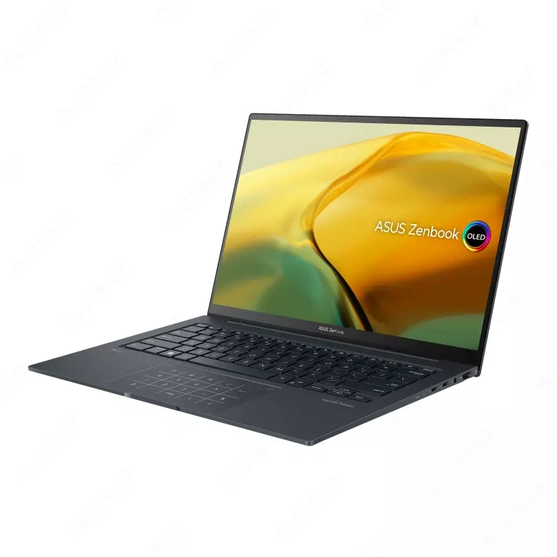 Ноутбук ASUS ZENBOOK Q420VA-EVO I7-13700H 16GB 512GB OLED 14.5
