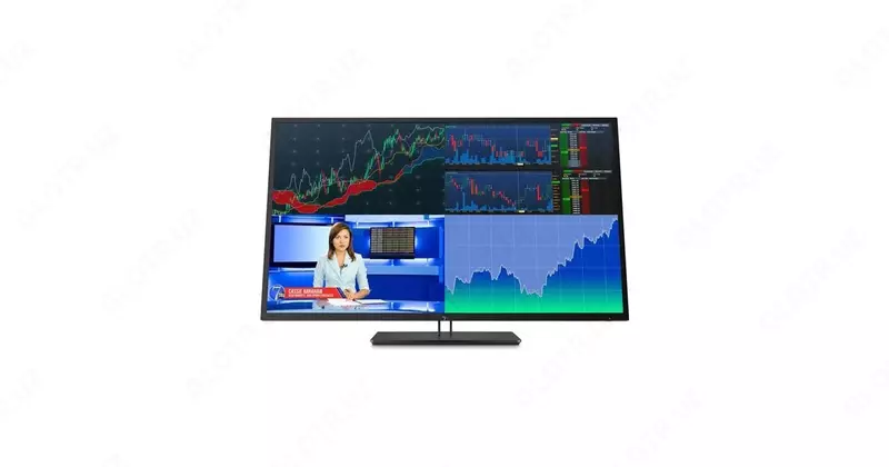 Монитор HP Z43 43