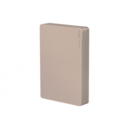 10*RG-RAP1260 (Rose-Gold Cover)