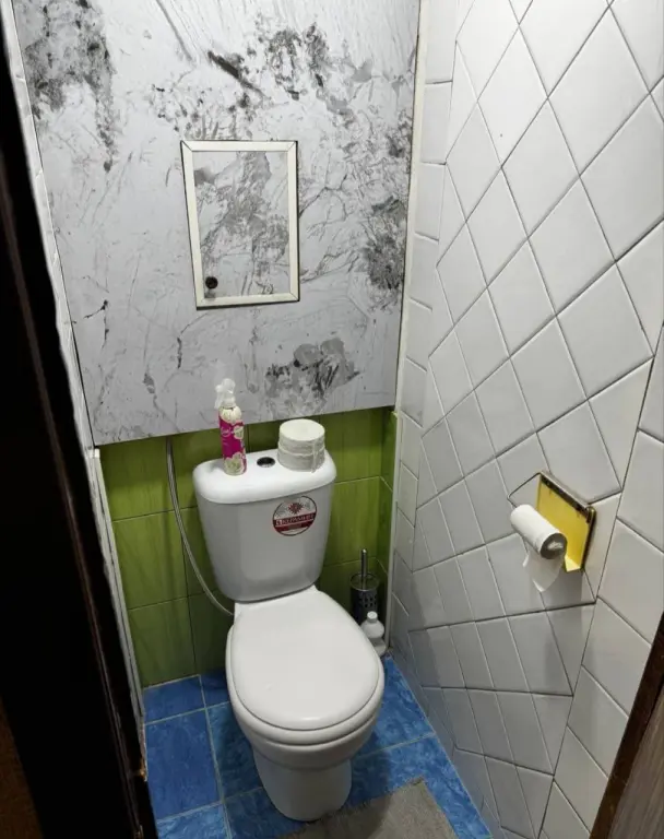 Мирзо Улугбекский р-он Феруза. 1/1/4 33м².